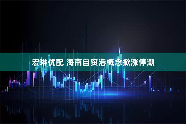 宏琳优配 海南自贸港概念掀涨停潮