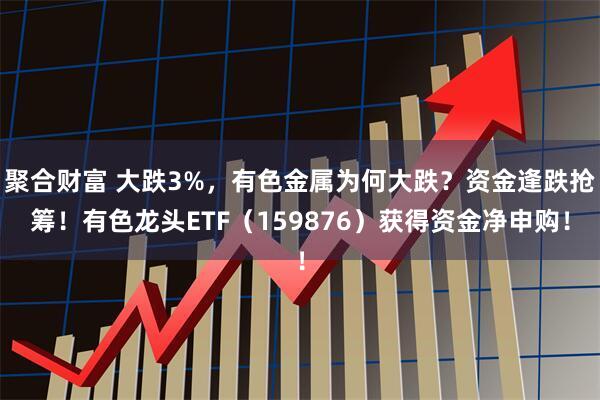 聚合财富 大跌3%，有色金属为何大跌？资金逢跌抢筹！有色龙头ETF（159876）获得资金净申购！